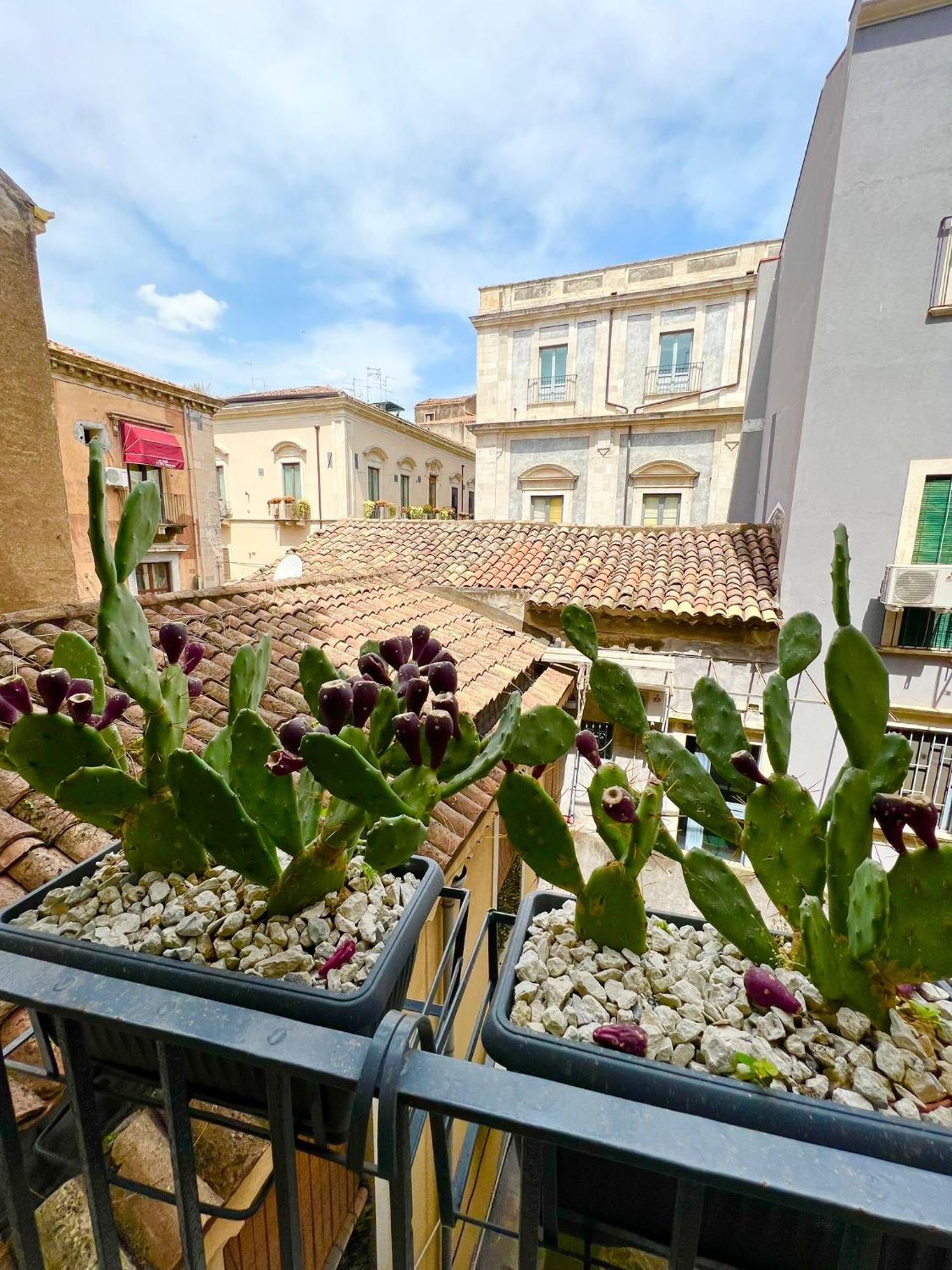Erasmo 19 Luxury Home Catania Ngoại thất bức ảnh